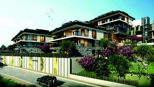 YÜKSEKDAĞ ÇAMLICA — 3